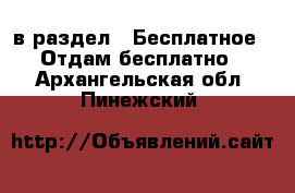  в раздел : Бесплатное » Отдам бесплатно . Архангельская обл.,Пинежский 